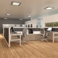 Imagen de Proyecto