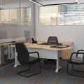 Imagen de Proyecto