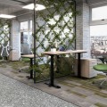 Imagen de Proyecto