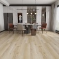 Imagen de Proyecto
