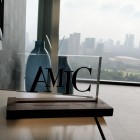 CAPACITACIONES AMIC