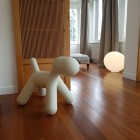 MAGIS, PUPPY