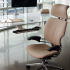Humanscale - Freedom, 