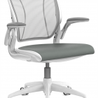 Humanscale, Diffrient World