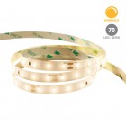 Strip Lines, Modelo RE6036BCG - Luz Suave Cálida