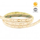 Strip Lines, Modelo RE6037BCG - Luz Suave Cálida