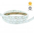 Strip Lines, Modelo RE6037BFG - Luz de Día