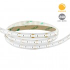 Strip Lines, Modelo RE6037BNG - Luz Blanca Neutra