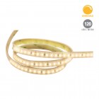 Strip Lines, Modelo RE6039BCG - Luz Suave Cálida