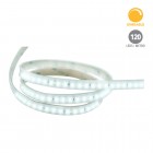 Strip Lines, Modelo RE6039BFG - Luz de Día