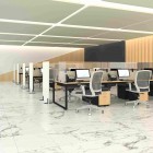 STEELE® COV, 