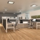Espaset® III, 