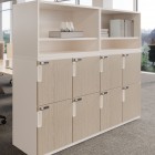 Teknion Storage Solution, Lockers