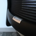 Lacerta®, 