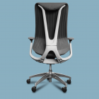 STEELE® Cloud, Posterior