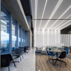 Hines Guadalajara - Vista general