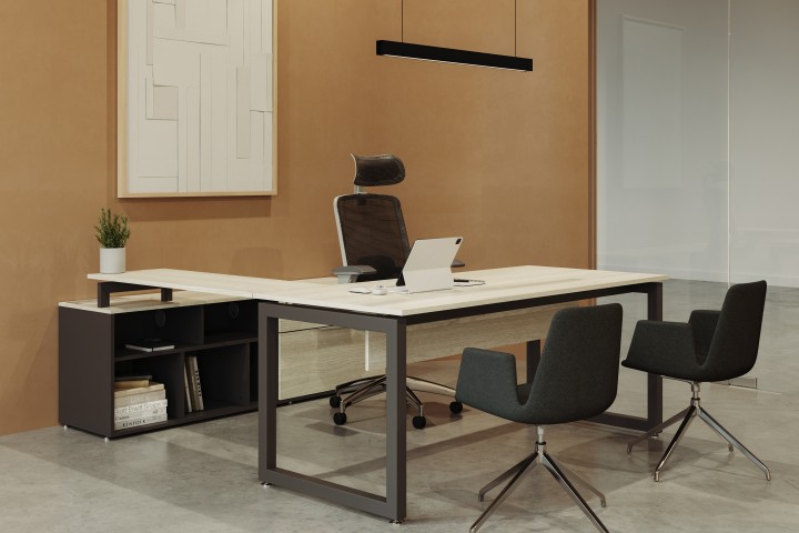 Conjunto Directivo - Integra-C
