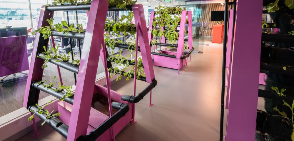 Empresa líder en tecnología - Jardineras Google