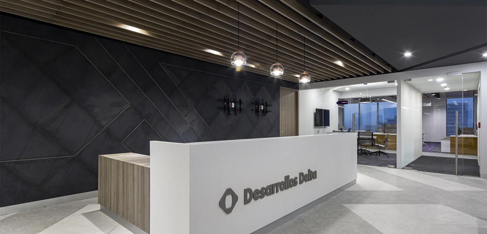 Desarrollos Delta - Recepción
