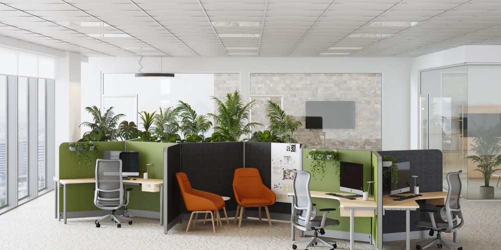 Imagen de Proyecto