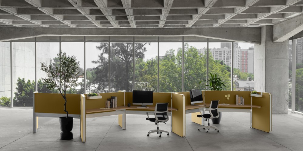 Imagen de Proyecto
