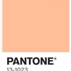Pantone 2024, explorando los matices y calidez del color del año